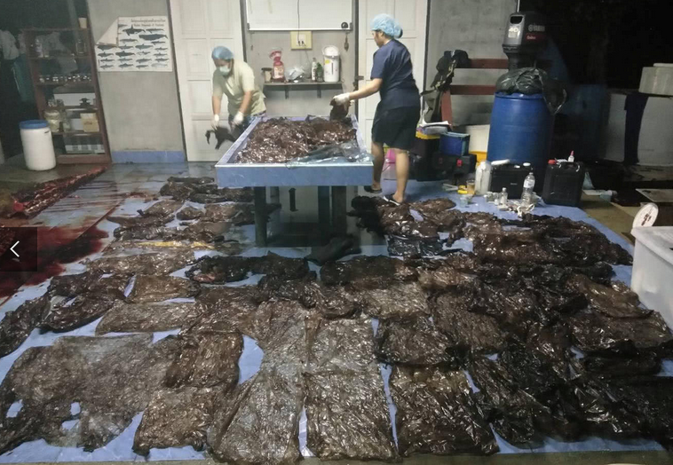 15282572686387.png 15282572686387.png